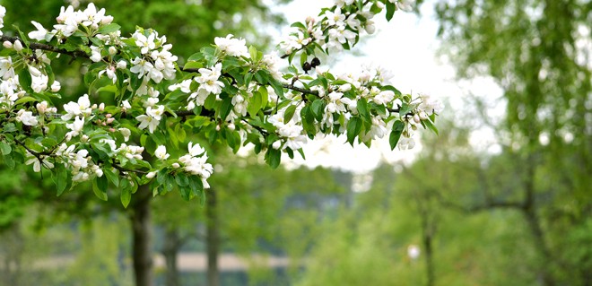 Skolavslutningen närmar sig